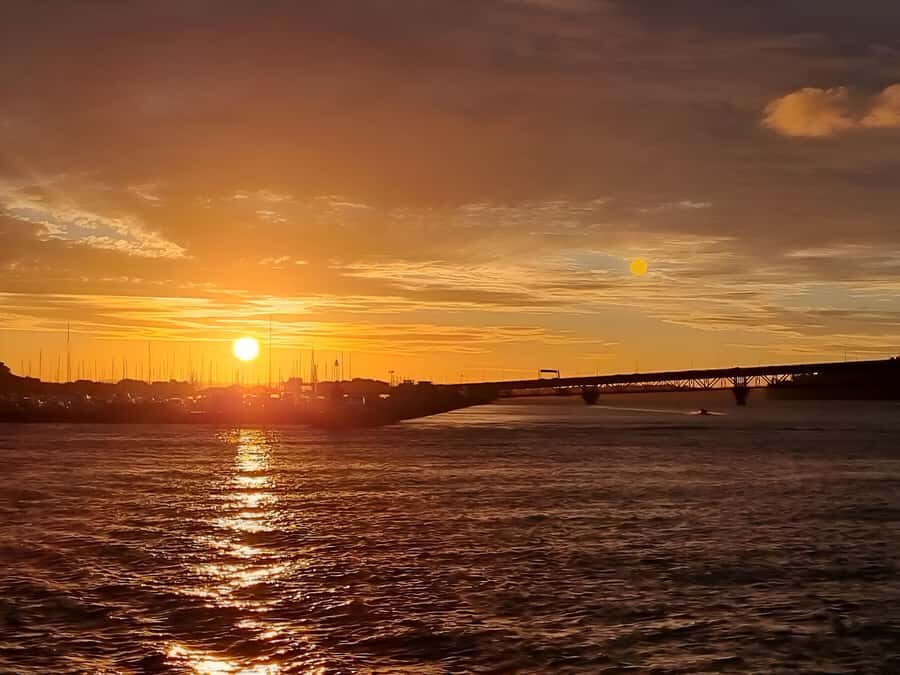 Auckland: Nightlights Harbour Cruise with Canapés and Drink - Rating check: what the feedback suggests