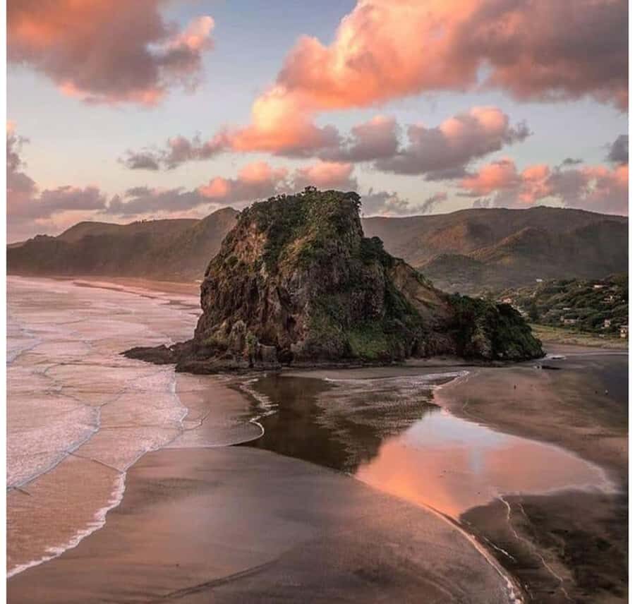 Auckland: Piha Beach, Rainforest, & Mount Eden Private Tour - Key Highlights You’ll Feel Immediately