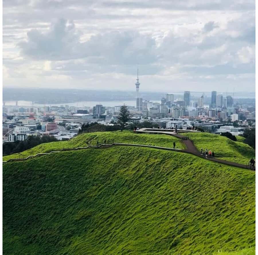 Auckland: Piha Beach, Rainforest, & Mount Eden Private Tour - Why This Auckland Tour Works: Forest, Coast, and a Volcanic View