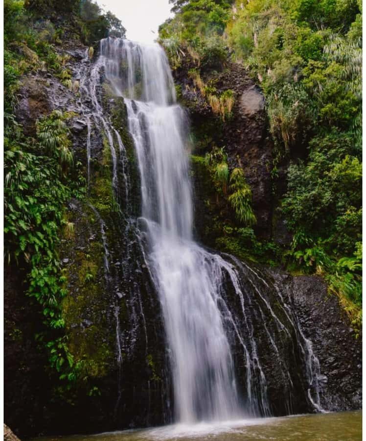 Auckland: Piha Beach, Rainforest, & Mount Eden Private Tour - A Second Waitākere Photo Moment: More Views, Less Rushing