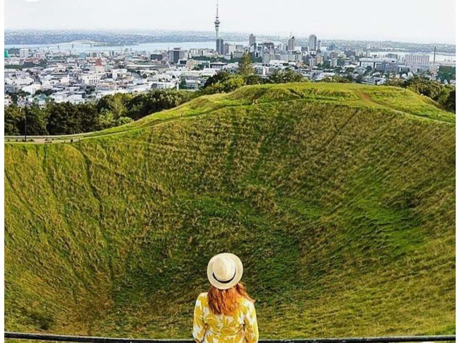 Auckland: Piha Beach, Rainforest, & Mount Eden Private Tour - Price and Value: Is $262 Worth It?