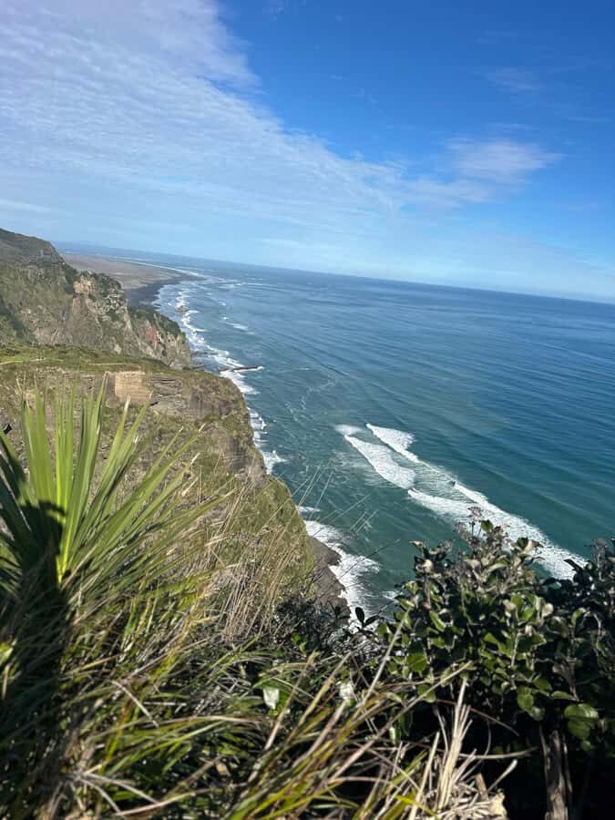 Auckland: Piha Beach, Rainforest, & Mount Eden Private Tour - How to Prepare for the Best Day (and Better Photos)