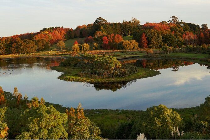 Auckland Private Custom Walking Tour with A Guide (Private Tour) - Who this tour suits best