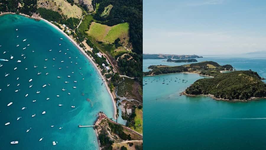 Auckland: Rotoroa Island and Man O'War Vineyard Combo Tour - Man O’ War Vineyard: A Beachfront Tasting Room You Can Actually Hang Out In