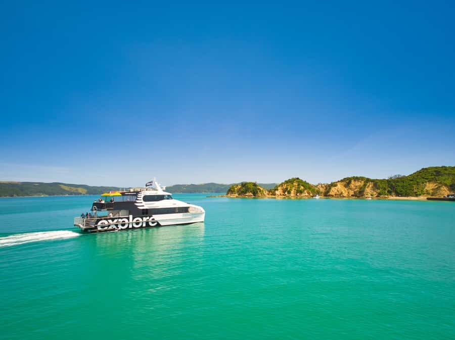 Auckland: Rotoroa Island and Man O'War Vineyard Combo Tour - Rotoroa Island: Native Bush Walks, Coastal Views, and a Beach Break