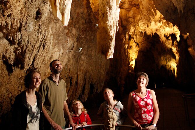 Auckland: Rotorua Māori Village, Waitomo Caves & Lunch - Waitomo Glowworm Caves: A One-Hour Boat Ride Under Thousands of Lights
