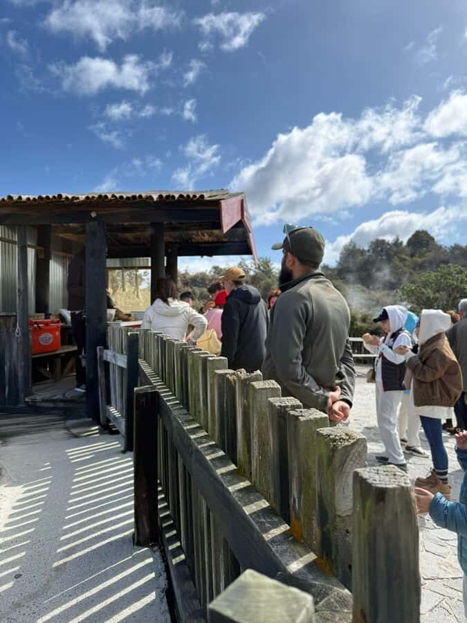 Auckland: Rotorua Māori Village & Waitomo Caves with Lunch - Who should book this tour, and who should skip it
