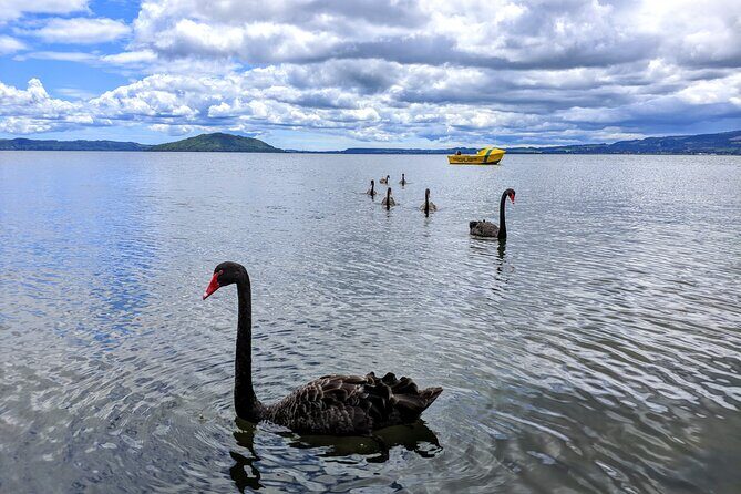 Auckland: Rotorua, Taupo, Waiotapu & Huka Falls Private Trip - Rotorua: a quick geothermal and culture hit