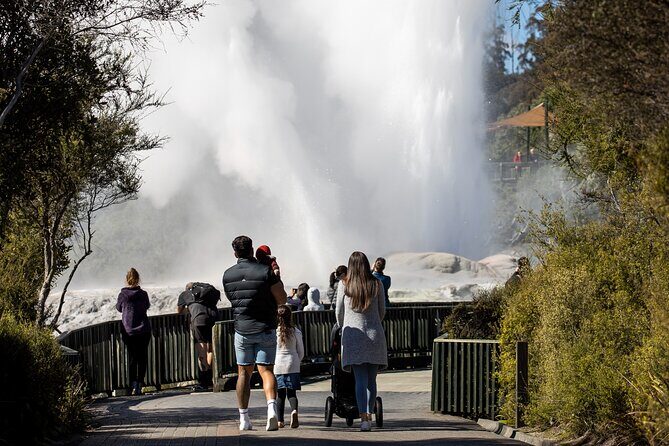 Auckland: Rotorua Te Puia with Haka & Polynesian Spa Small Group - Key highlights worth your attention