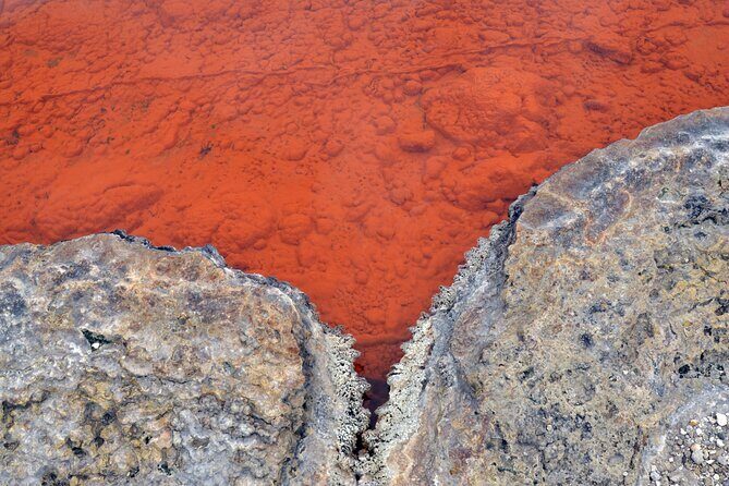 Auckland: Rotorua Tour with Waiotapu, Te Puia and Maori Haka - Comfort, packing, and simple tactics for a long geothermal day