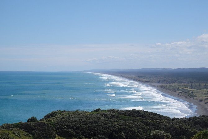 Auckland Scenic Day Tour Full-Day- 8 HOURS - Price and value: what $133.42 buys you in Auckland