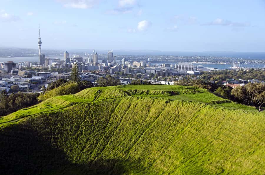Auckland Scenic Half-Day City Sightseeing Tour - The Harbour Bridge crossing and the Northcote Point viewpoint
