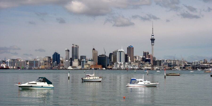 Auckland Scenic Half-Day City Sightseeing Tour - Why the live commentary is the real value