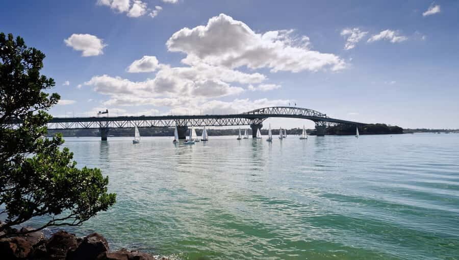 Auckland Scenic Half-Day City Sightseeing Tour - Price, timing, and who should choose this half-day