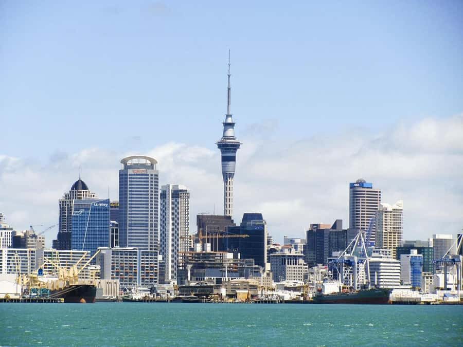 Auckland: Scenic Harbour Cruise with Live Commentary - First Steps at Z Pier: Finding the Red Boats by Billfish Café