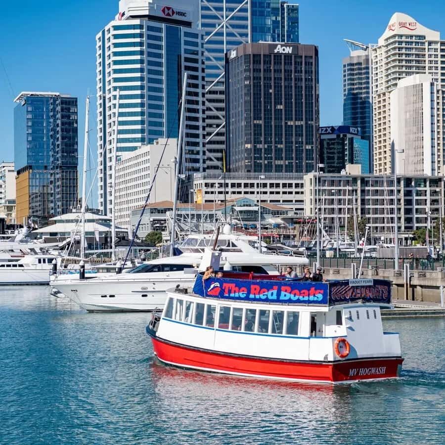 Auckland: Scenic Harbour Cruise with Live Commentary - Price and Value: Why $17 Is a Real Bargain Here