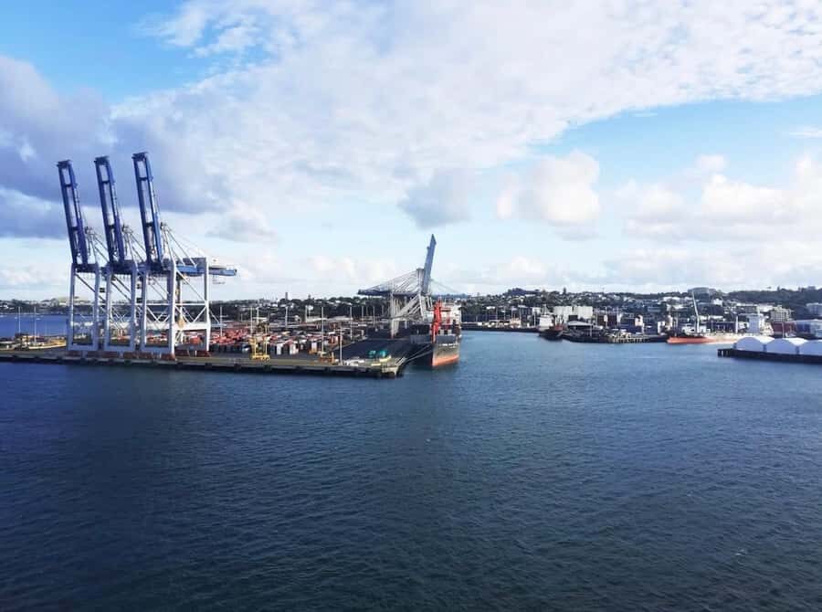 Auckland: Scenic Harbour Cruise with Live Commentary - 90 Minutes on Waitematā Harbour: The Pace That Actually Works