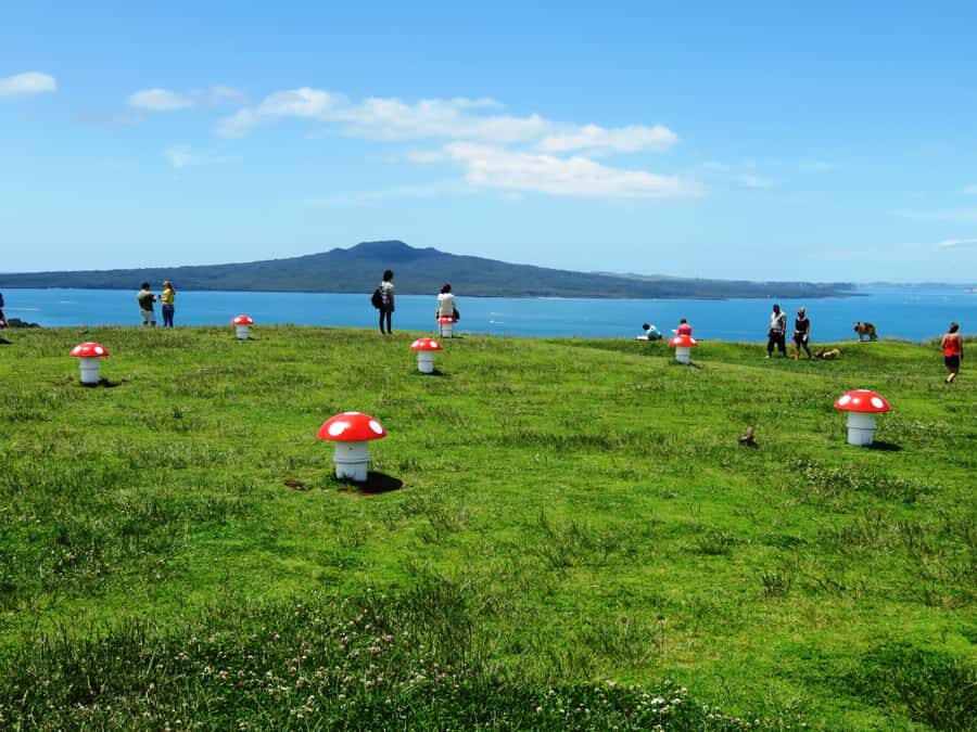 Auckland: Segway Tour to Mount Victoria - Devonport Ferry Terminal: How You Set Off on a Confident Foot