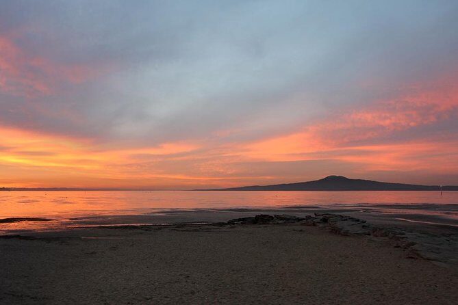 Auckland Sights Exclusive 4 Hour Luxury Day Tour - Auckland in a Single Morning: What This Private 4-Hour Tour Does Best