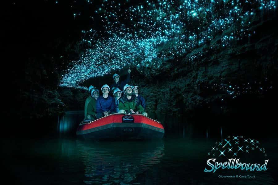 Auckland: Spellbound Glowworm Caves Explorer Tour - Key things that make this tour worth your time
