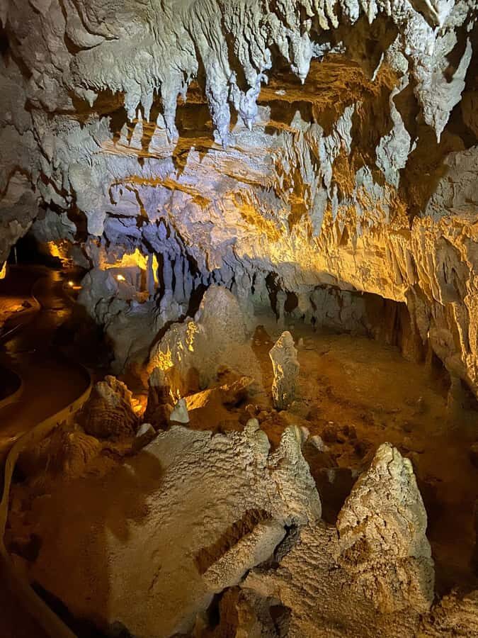 Auckland: Spellbound Glowworm Caves Explorer Tour - The boat ride: where the glowworms feel alive