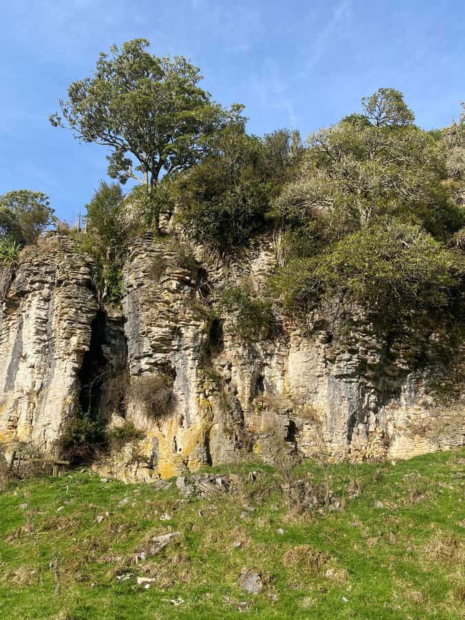 Auckland: Spellbound Glowworm Caves Explorer Tour - What to pack (so the cave doesn’t beat you)