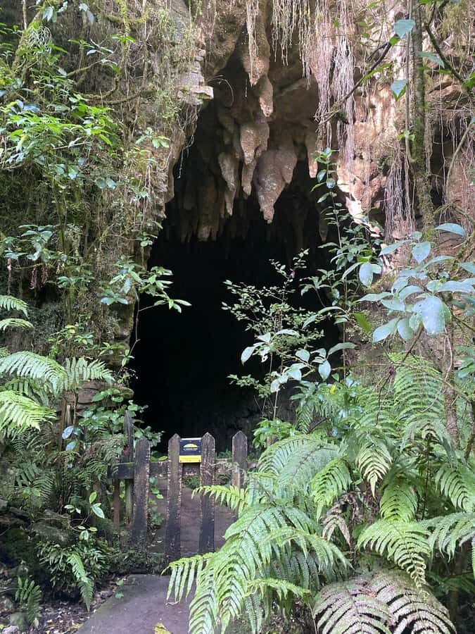 Auckland: Spellbound Glowworm Caves Explorer Tour - Who this tour suits best (and who should skip)