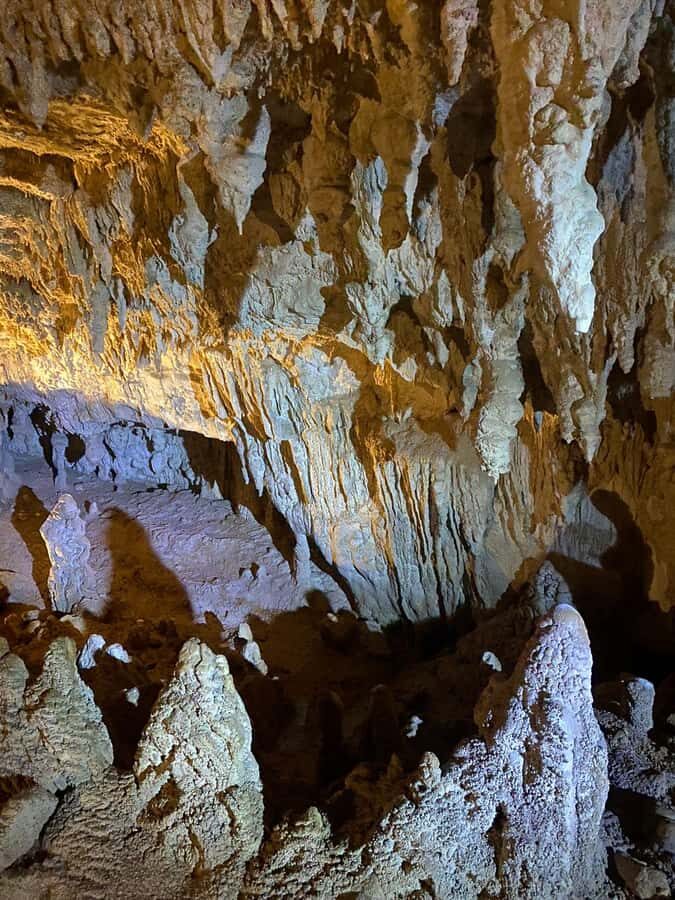 Auckland: Spellbound Glowworm Caves Explorer Tour - Spellbound and the Waitomo glowworm caves: what you’re really paying for