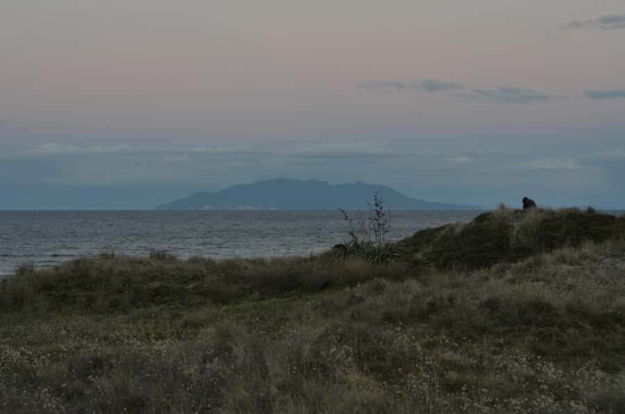 Auckland (Tawharanui): Wild Kiwi Bird Spotting Encounter - What to pack for a kiwi night in Tawharanui