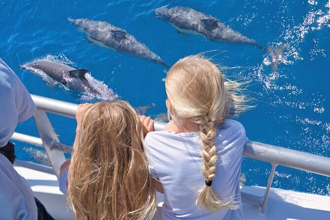Auckland: Tikapa Moana Dolphin, Whale and Island Cruise - Hauraki Gulf Dolphin and Whale Cruise: What Makes This Day Work