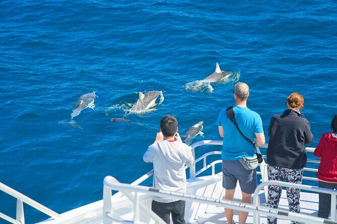 Auckland: Tikapa Moana Dolphin, Whale and Island Cruise - Food and Drinks: What to Plan For Onboard