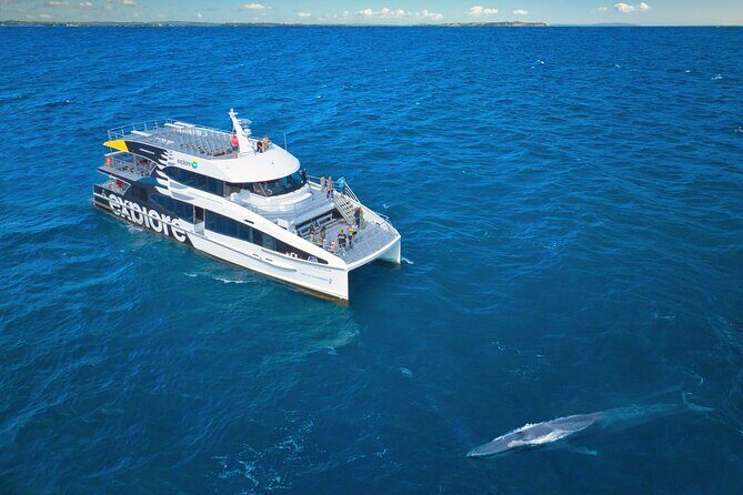Auckland: Tikapa Moana Dolphin, Whale and Island Cruise - Onboard Setup: Viewing Decks, Windows, and Comfort