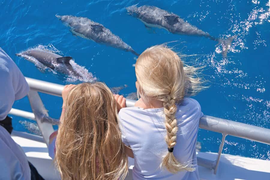Auckland: Tikapa Moana Whales, Dolphins and Islands Cruise - Key things that make this cruise worth your attention