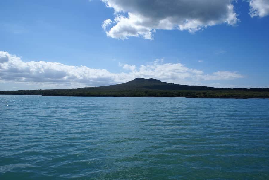 Auckland: Tikapa Moana Whales, Dolphins and Islands Cruise - Value check: is $92 good for Auckland whale watching?