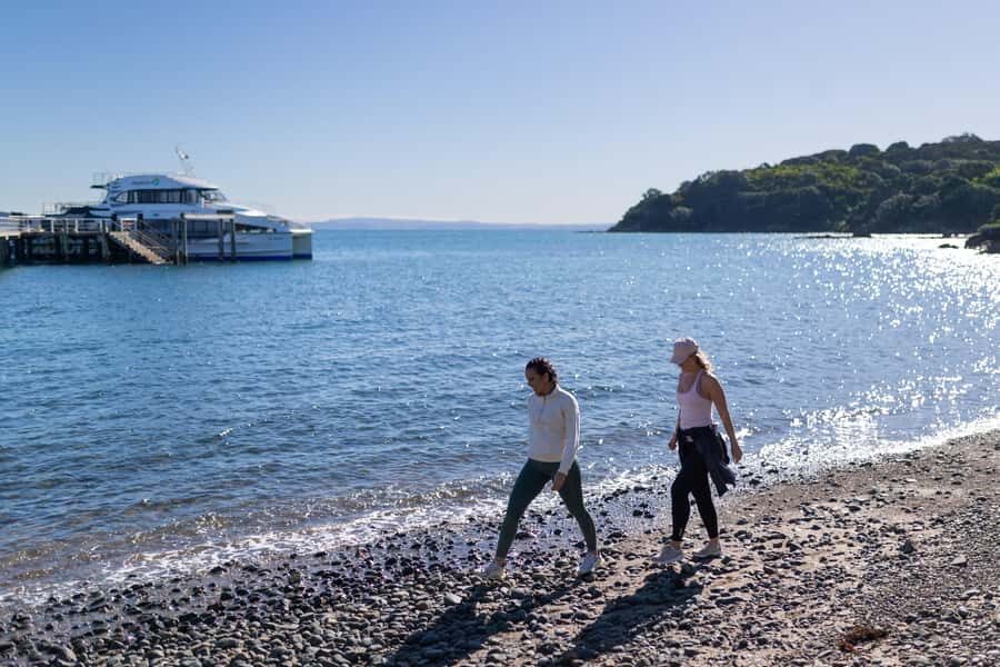 Auckland: Tiritiri Matangi Island Ferry - Key things to know before you go