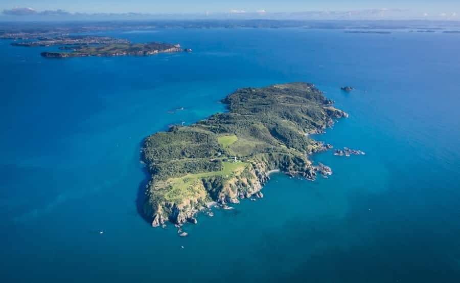 Auckland: Tiritiri Matangi Island Ferry - Hauraki Gulf to Tiritiri Matangi: why this day trip feels special