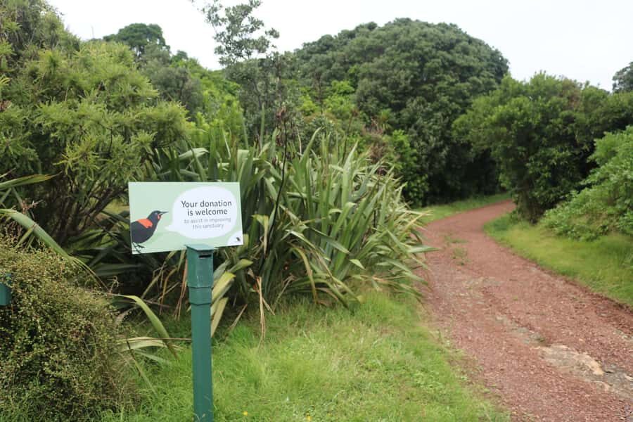 Auckland: Tiritiri Matangi Island Ferry - Beaches and the best packing list for snorkel time