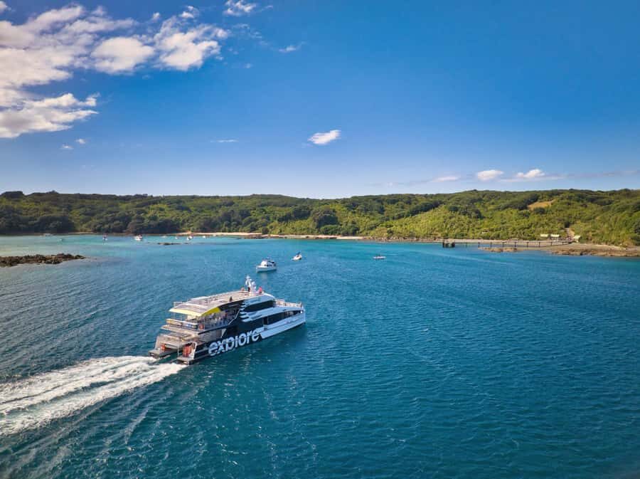 Auckland: Tiritiri Matangi Island Ferry - Price and what you really get for around $65