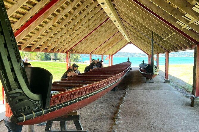 Auckland to Paihia via West Coast Small Group Tour (One Way) - Key highlights at a glance