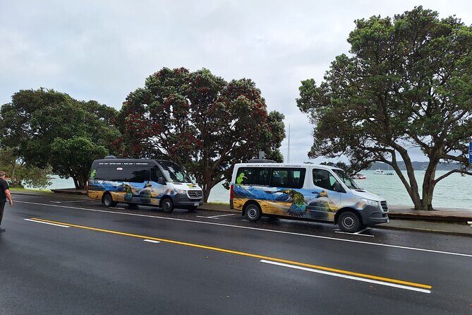 Auckland to Paihia via West Coast Small Group Tour (One Way) - Waipoua Forest and Tane Mahuta: seeing scale in real life