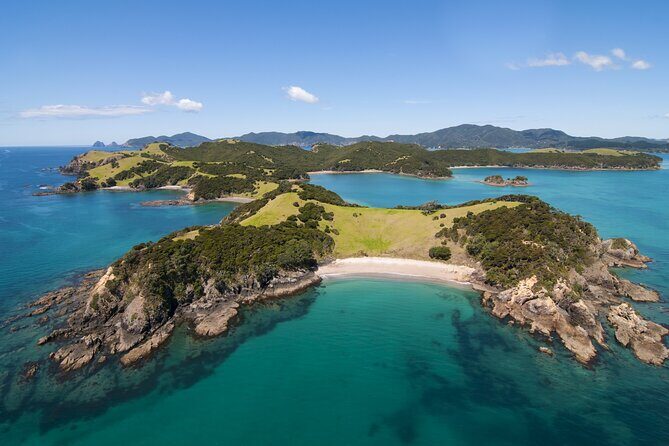 Auckland to Paihia via West Coast Small Group Tour (One Way) - Arrival in Paihia: use the rest of your day wisely