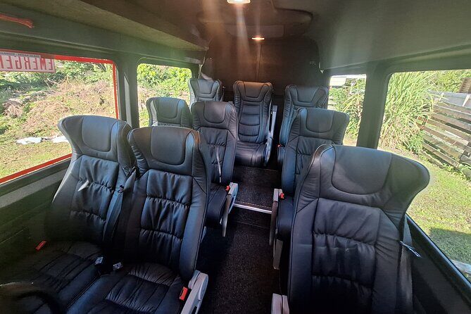 Auckland to Paihia via West Coast Small Group Tour (One Way) - Who this tour fits best (and who should skip it)