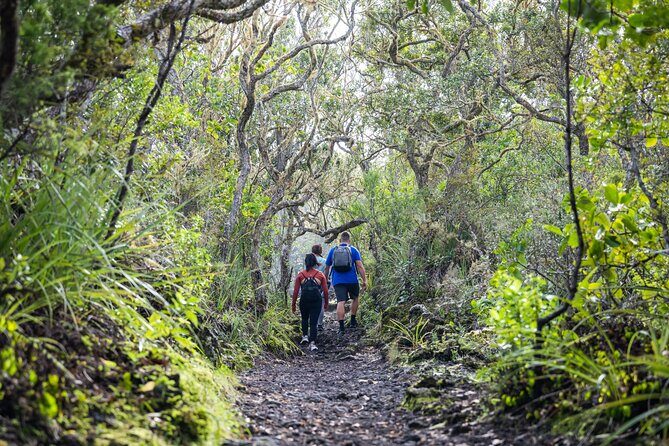 Auckland to Rangitoto Island Ferry - Price and value: is $37.23 really fair for 4 hours?