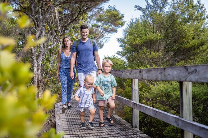 Auckland to Rangitoto Island Ferry - Who should book this Rangitoto ferry visit (and who should think twice)