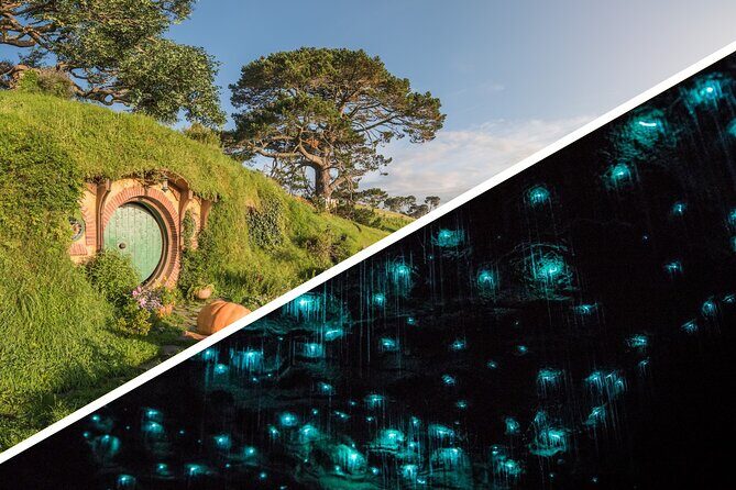 Auckland to Rotorua, Hobbiton and Waitomo 1 Way Small Group Tour - One-Way Auckland to Rotorua: why this routing feels efficient