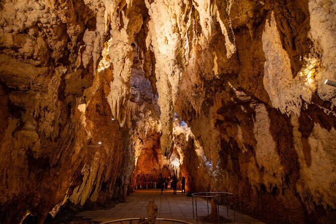 Auckland to Rotorua, Hobbiton and Waitomo 1 Way Small Group Tour - Price and value at about $266.23: what you’re really paying for