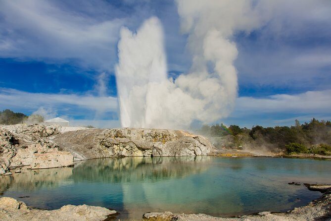 Auckland to Rotorua Private Tour - Key Things to Know Before You Go