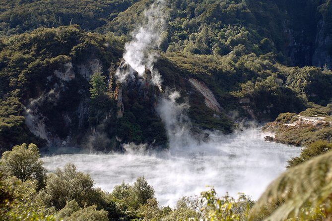 Auckland to Rotorua Private Tour - Rotorua Without the Herding: What Makes This Tour Work