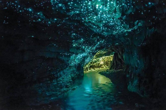 Auckland to Rotorua via Waitomo Caves Small Group Tour (One Way) - Why this Auckland to Rotorua one-way trip works