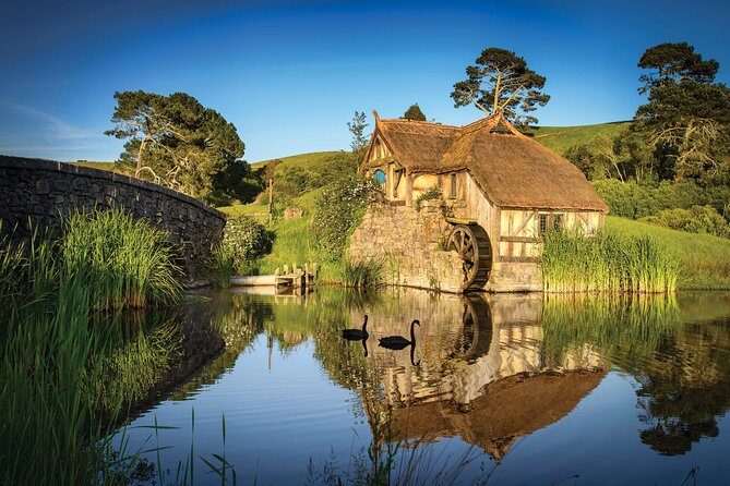 Auckland to Waitomo Caves and Hobbiton Movie Set Private Tour - Waitomo Glowworm Caves: The Boat Ride You’ll Remember